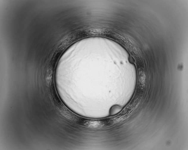 X0000103440507200810031416