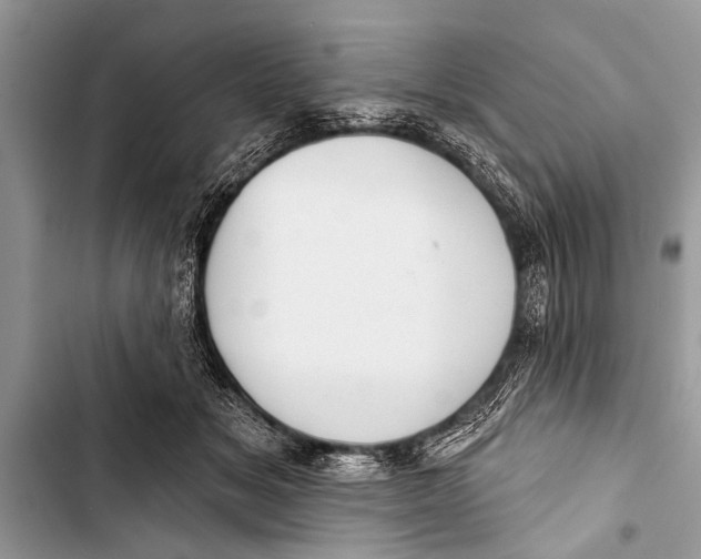X0000103440509200810031416