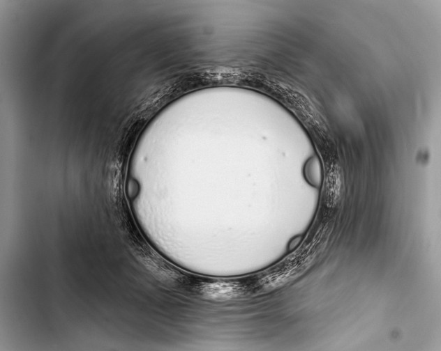 X0000103440511200810031416