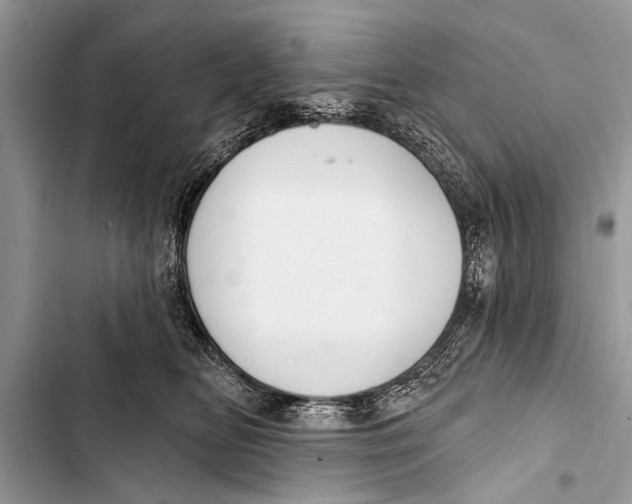 X0000103440518200810031416