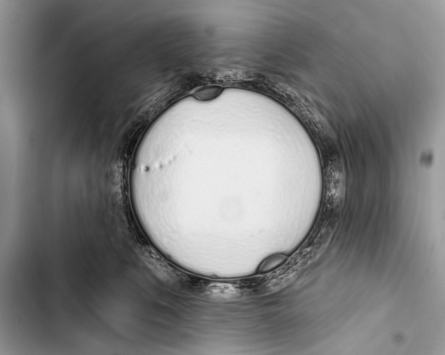 X0000103440519200810031416