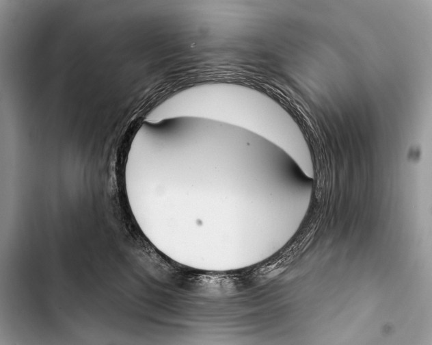 X0000103440520200810031416