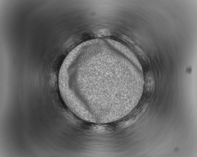 X0000103440523200810031416