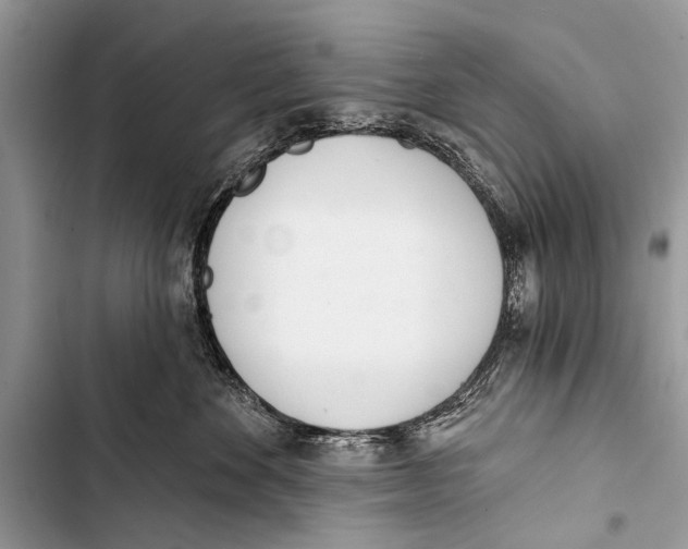 X0000103440524200810031416