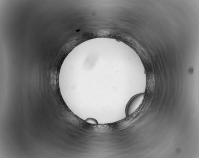 X0000103440525200810031416