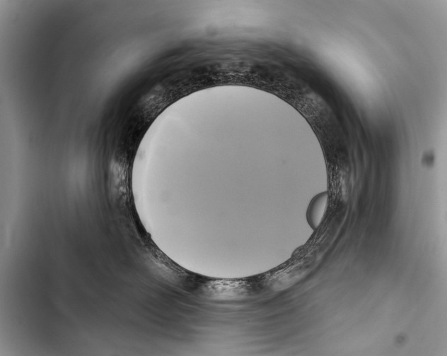 X0000103440526200810031416