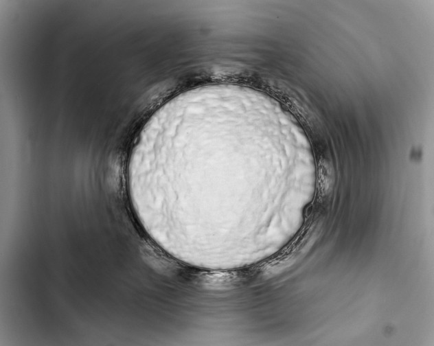 X0000103440527200810031416