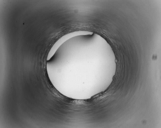 X0000103440528200810031416