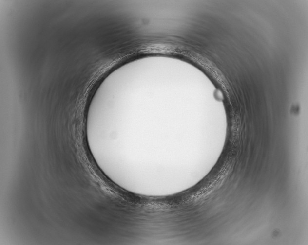 X0000103440529200810031415