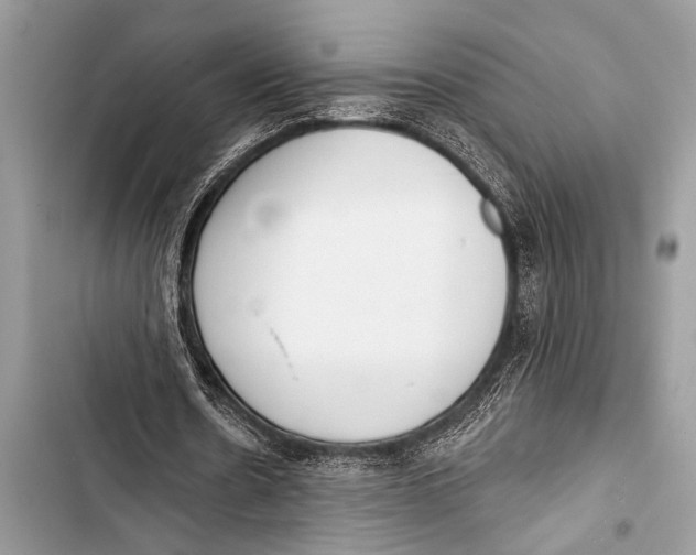 X0000103440530200810031415