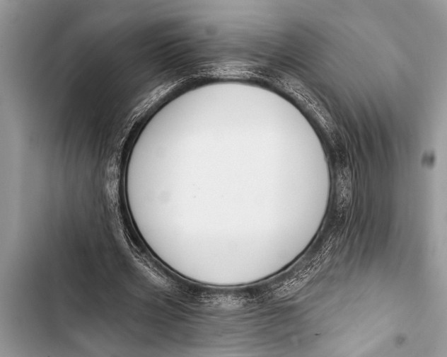 X0000103440533200810031415