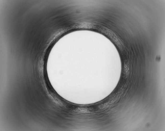 X0000103440534200810031415