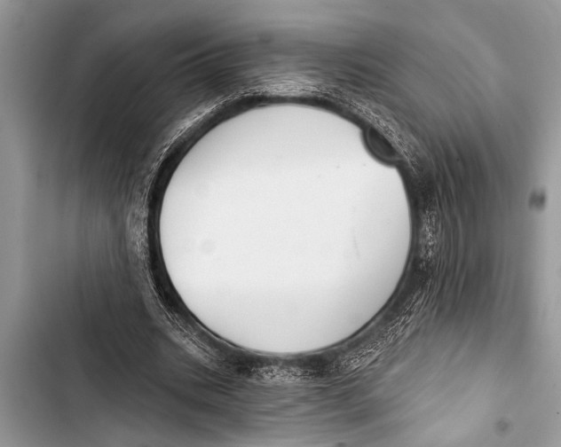X0000103440535200810031415