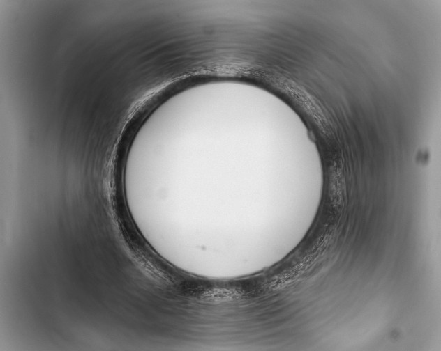 X0000103440536200810031415