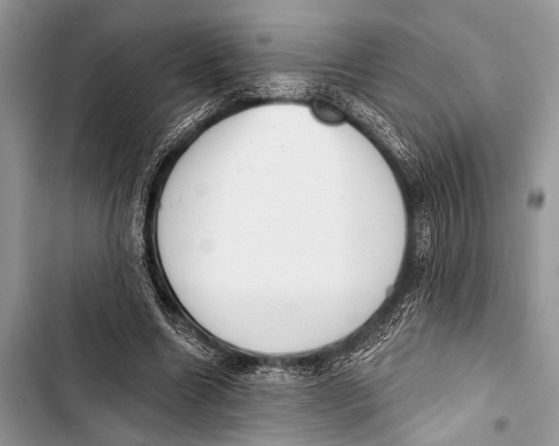 X0000103440538200810031415
