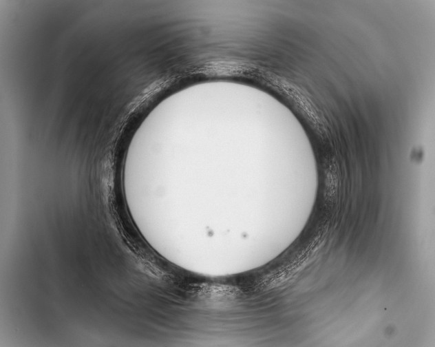 X0000103440539200810031415