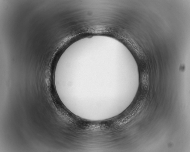X0000103440540200810031415