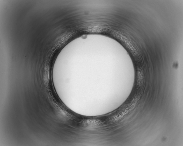 X0000103440541200810031415