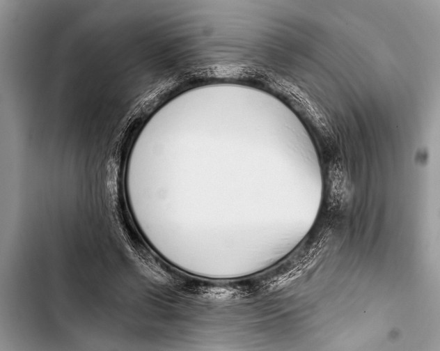 X0000103440542200810031415