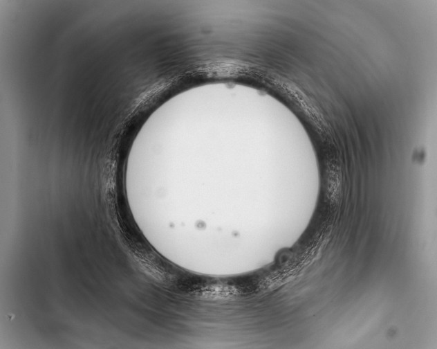 X0000103440543200810031415