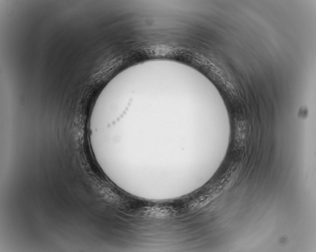 X0000103440545200810031415