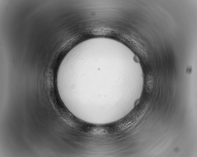 X0000103440547200810031415