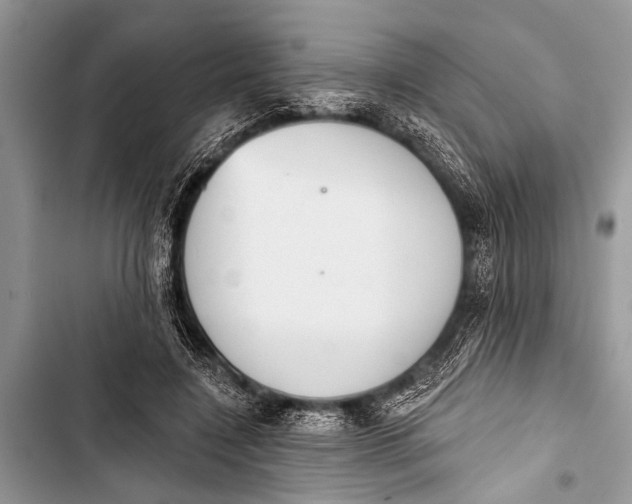 X0000103440548200810031415