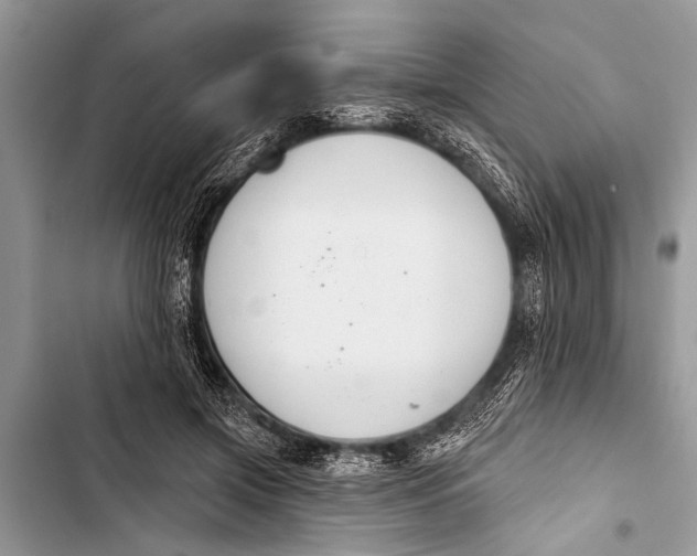 X0000103440549200810031415