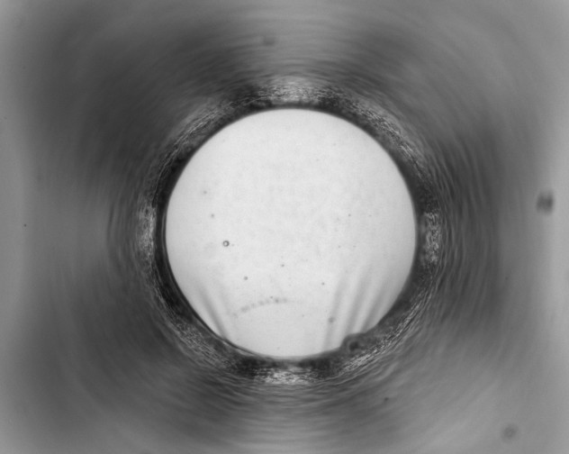 X0000103440550200810031415