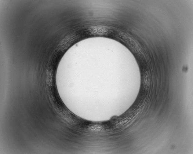 X0000103440551200810031415