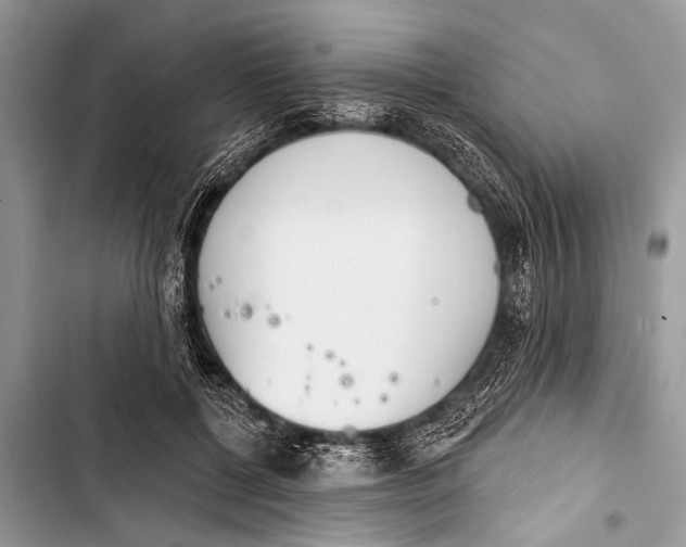 X0000103440552200810031415