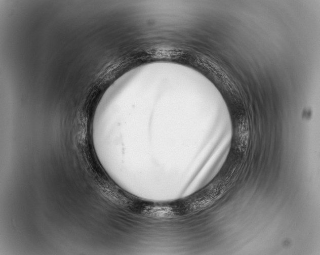 X0000103440554200810031415