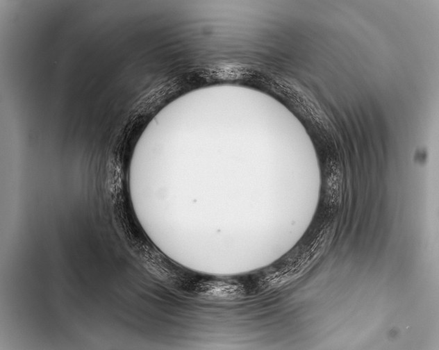 X0000103440555200810031415