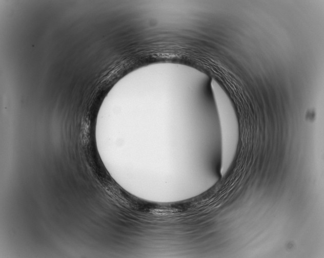X0000103440556200810031416