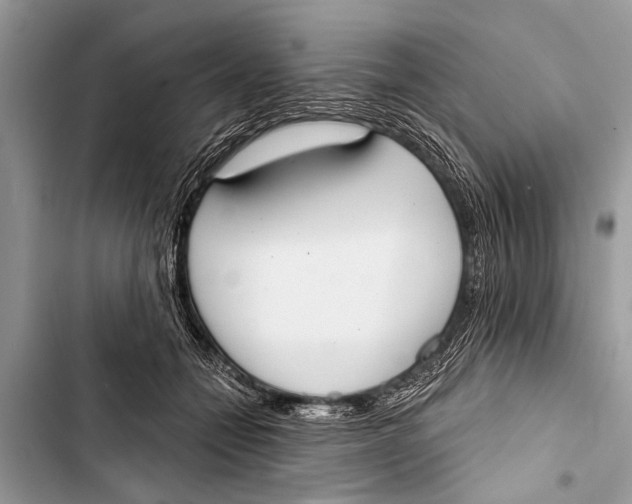 X0000103440558200810031416