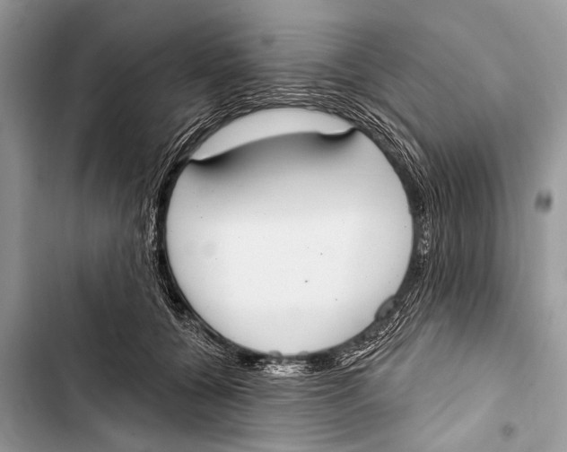 X0000103440560200810031416