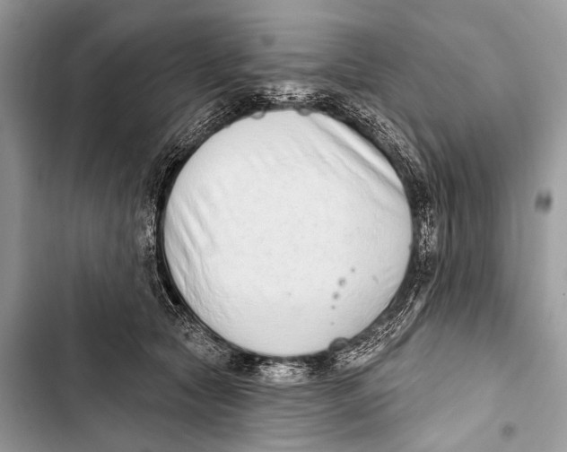 X0000103440561200810031416