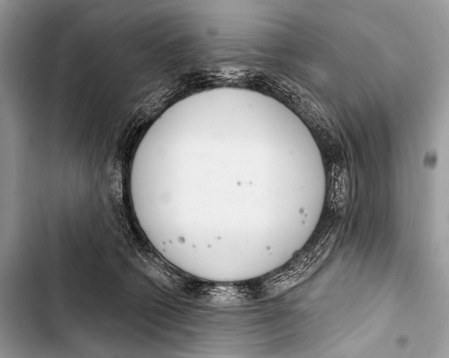X0000103440562200810031416