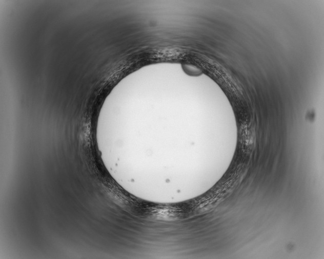 X0000103440564200810031416