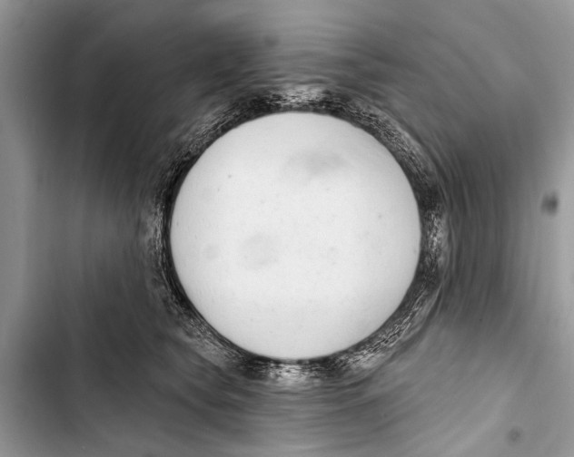 X0000103440565200810031416