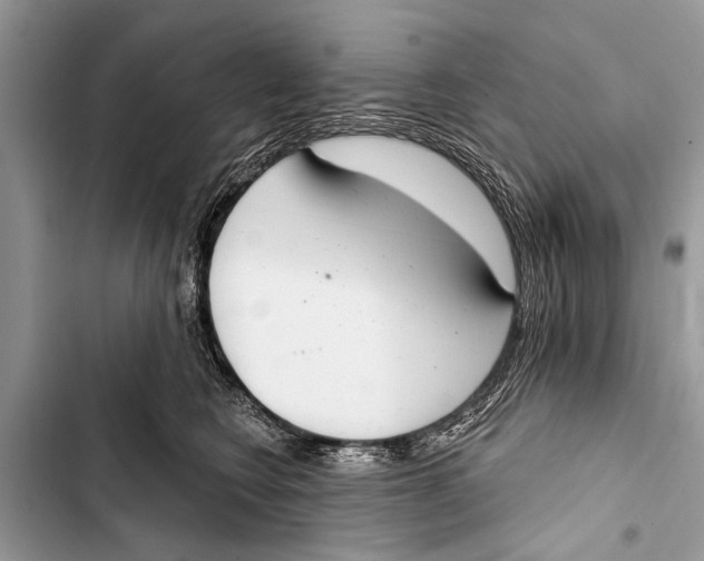 X0000103440566200810031416