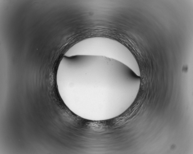 X0000103440568200810031416