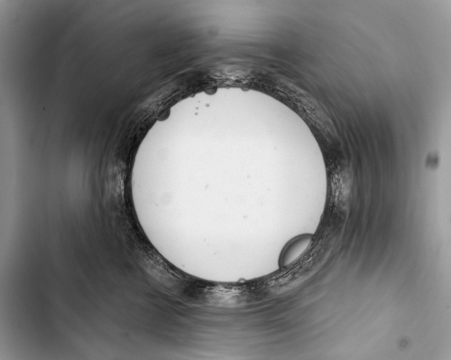 X0000103440570200810031416