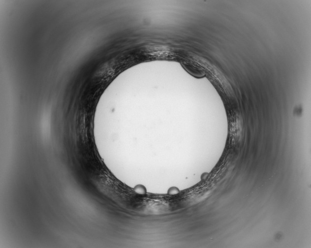 X0000103440572200810031416