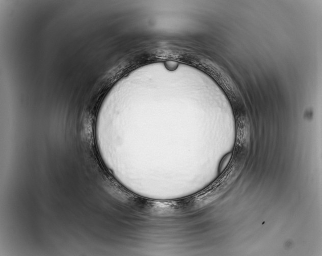 X0000103440573200810031416