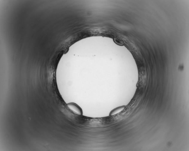 X0000103440574200810031416