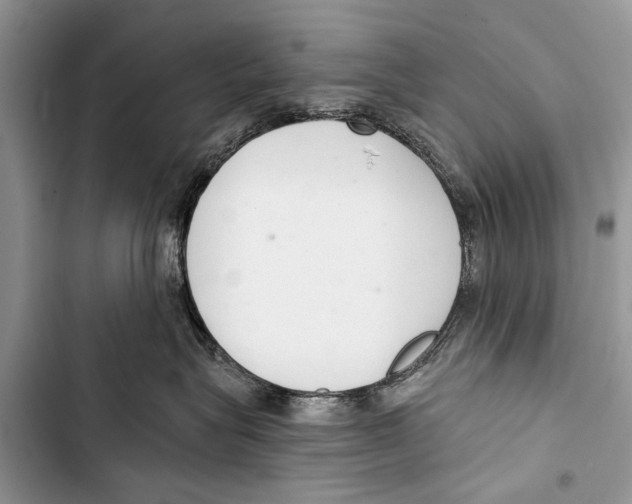X0000103440575200810031416