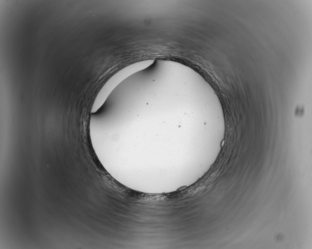 X0000103440576200810031416
