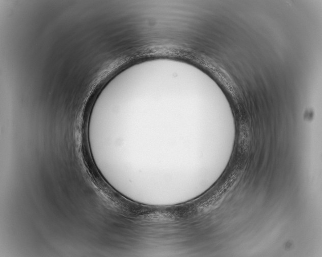 X0000103440578200810031415