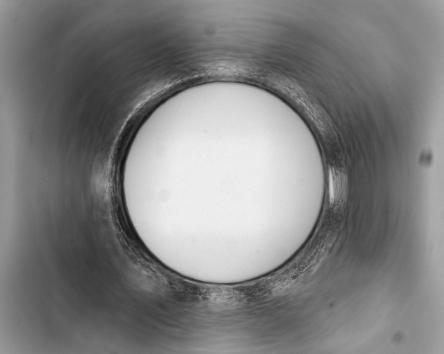 X0000103440579200810031415